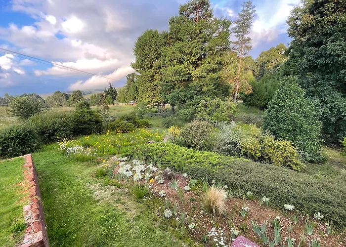 The Hedge At Dullstroom Cottage