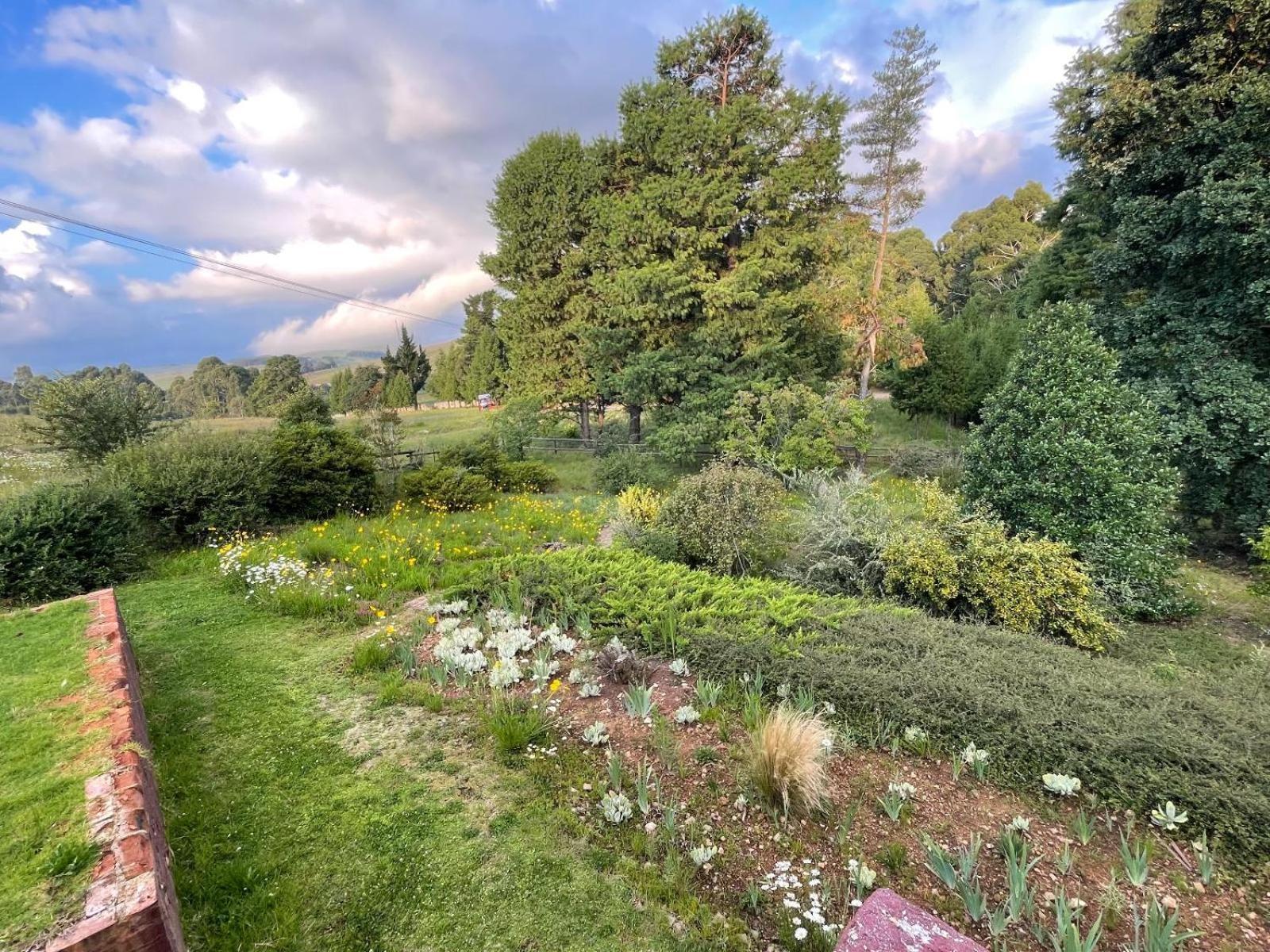 The Hedge at dullstroom cottage Dullstroom