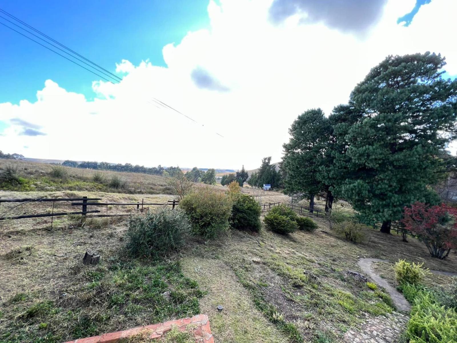 The Hedge at dullstroom cottage *