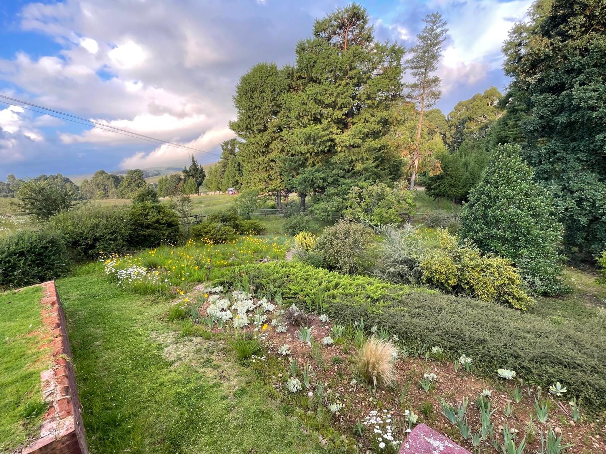 Holiday home The Hedge at dullstroom cottage
